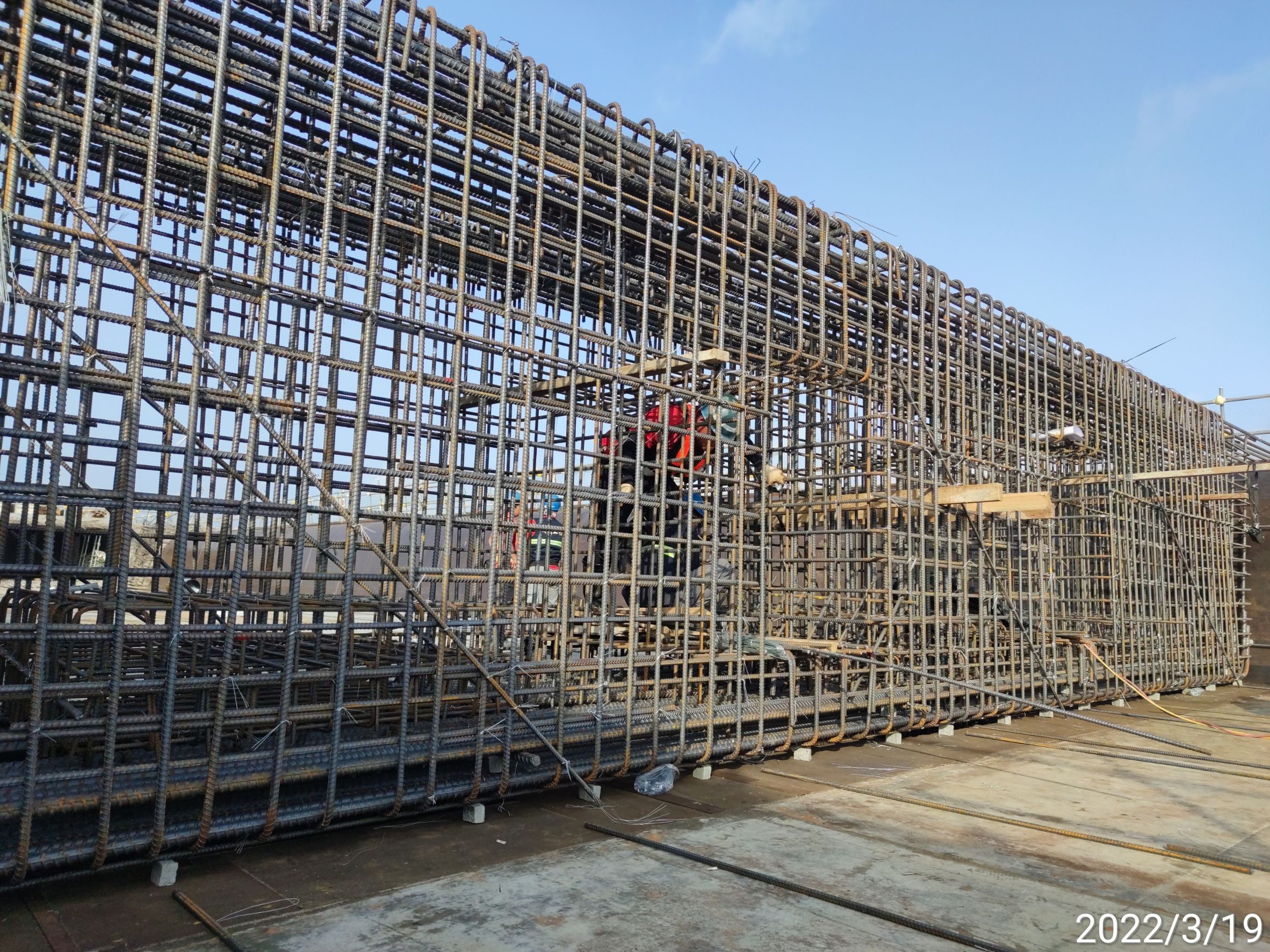 橋面版底、腹鋼筋綁紮.
