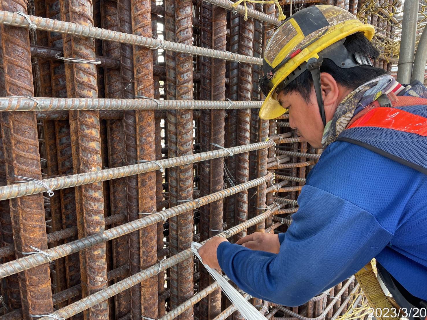 P16N墩柱第3昇層鋼筋綁紮