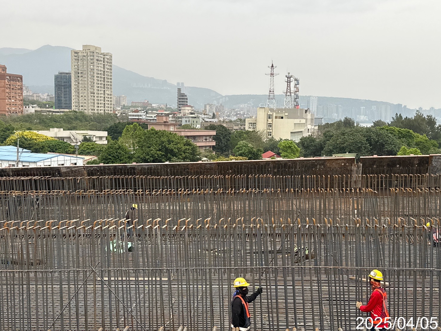 U5N場撐箱型梁底版牆身鋼筋綁紮